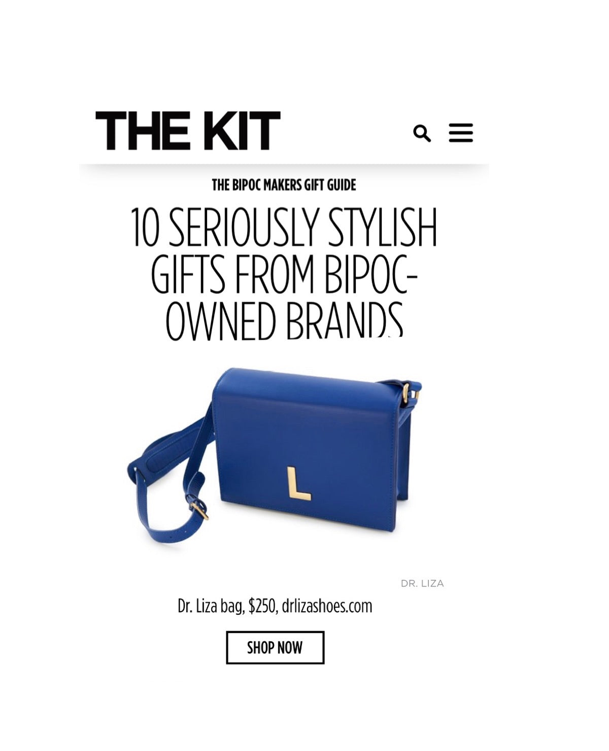 dr LIZA shoulder bag | ROYAL BLUE